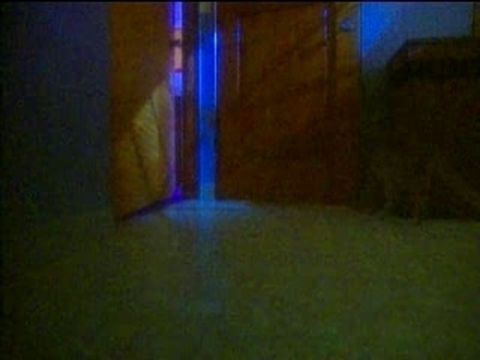 Phénomènes Inexpliqués : Revenants et fantômes