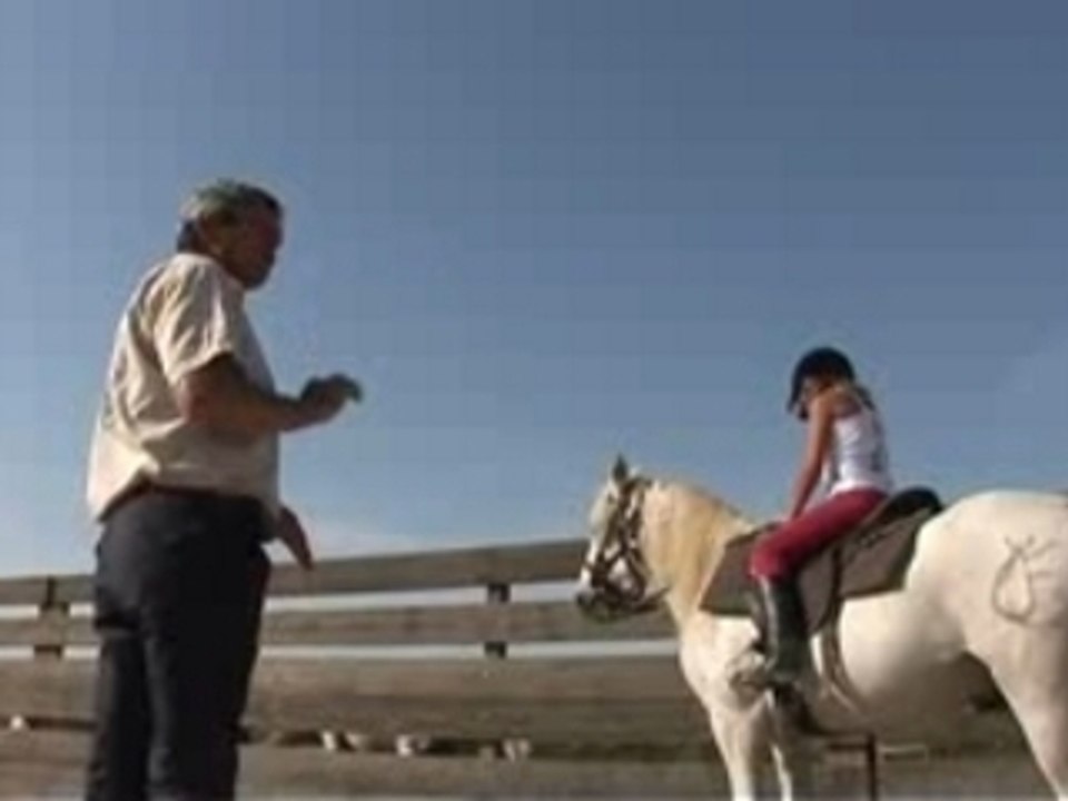 Ecole d'équitation, monte camargue