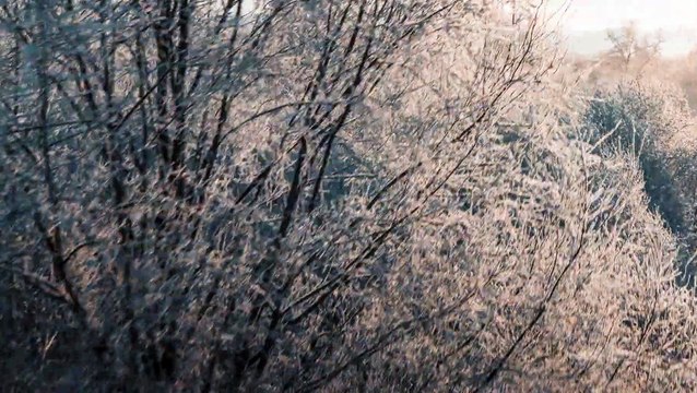 Ils surfent au nord de la sibérie en plein hiver en Russie !