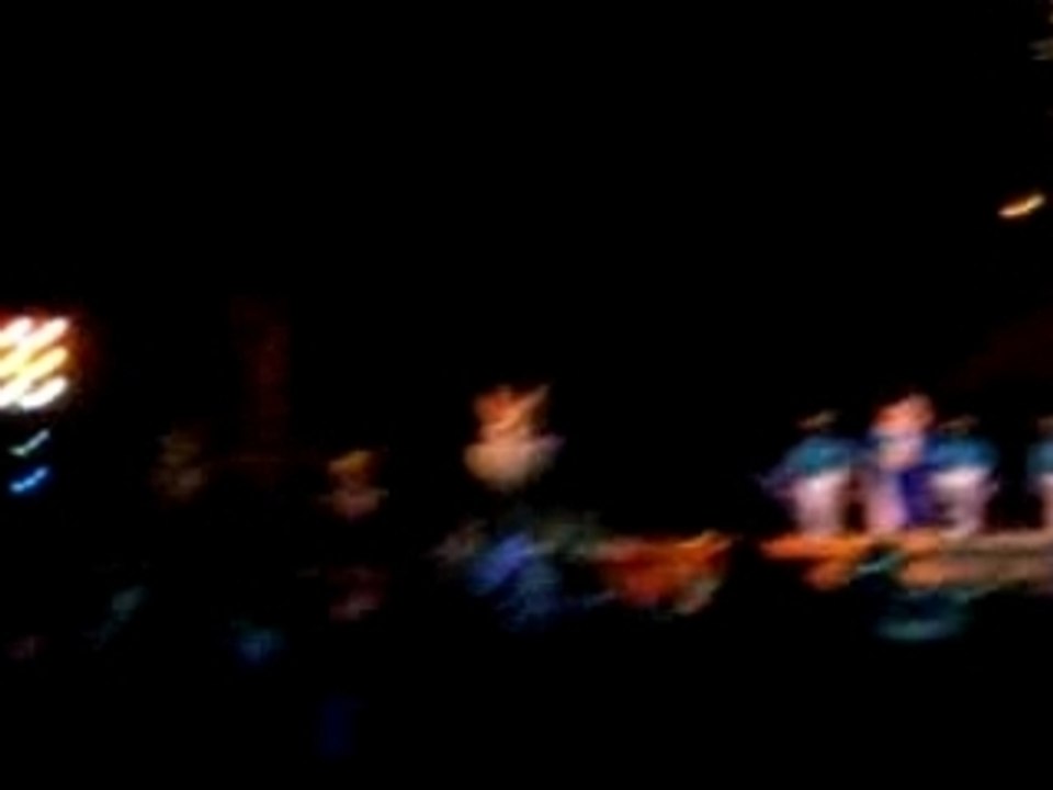 disney spectacle du 14/01/08