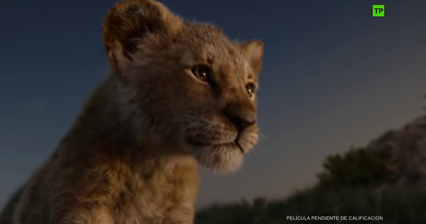 El Rey León (2019) - Tráiler Oficial en español - HD