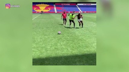 @TheBuzzer: Muy ingenuos