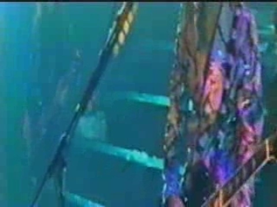 X Japan - Week End (Tokyô Dôme 1995)