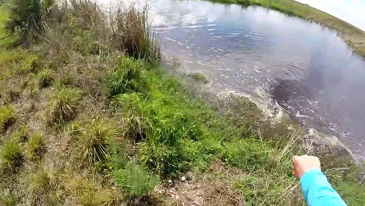 Fisherman Nearly Gets Caught