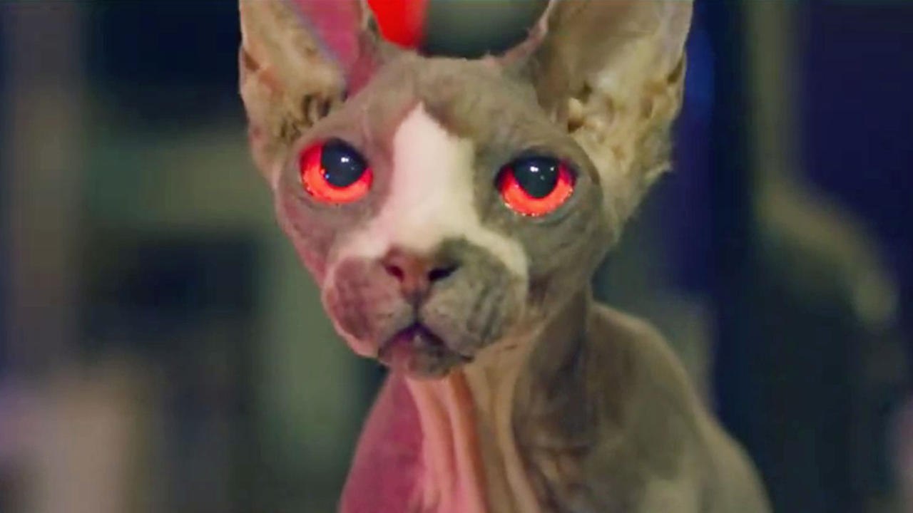 Friedhof am Ende der Welt - Pet Graveyard - Trailer (Deutsch) HD