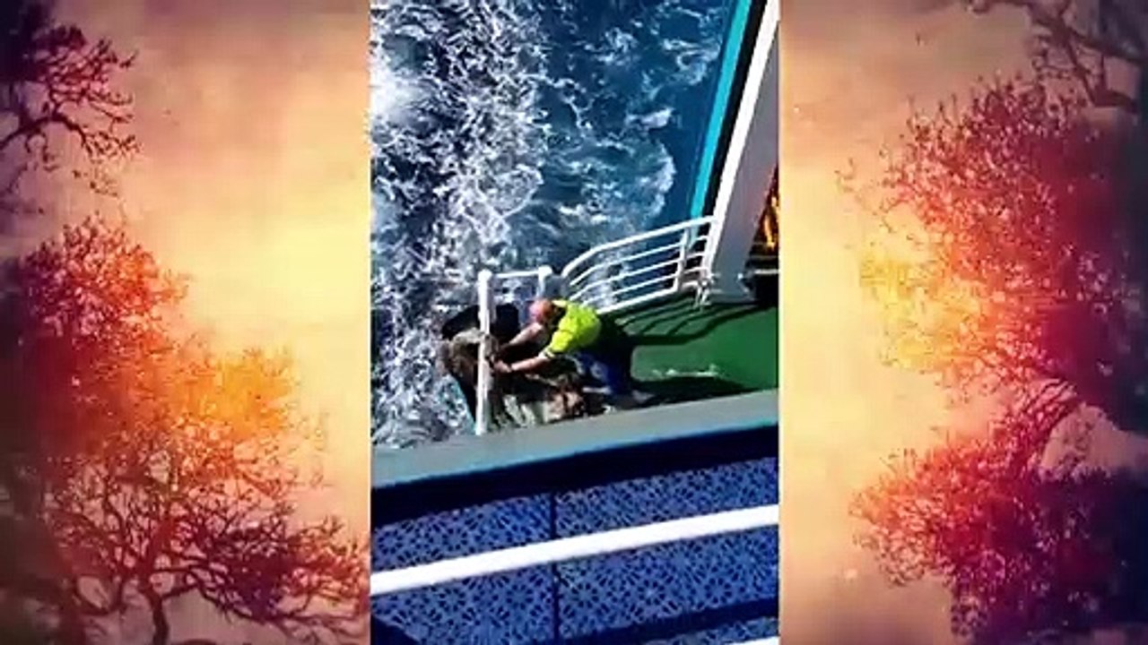 مول لعوينة يساهم في جلب السياح من أوربا