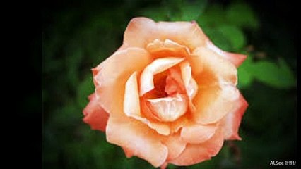 강남풀사롱O1O=65O5=O5O7강남룸싸롱최저가풀사롱풀싸롱위치강남야구장선릉야구장역삼풀사롱강남역풀싸롱논현동룸사롱강남텐프로강남텐까페강남레깅스강남란제리룸선릉룸싸롱강남야구장선릉야구장역삼풀사롱풀싸롱풀사롱위치강남더킹강남초원의집선릉룸싸롱364634