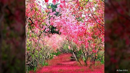 강남풀싸롱O1O≡65O5≡O5O7강남풀싸롱대박초이스강남룸사롱강남란제리강남이프역삼동포커스강남더블업강남물고기강남오피방역삼동오피선릉건마강남풀싸롱대치동풀싸롱강남룸싸롱강남벅시강남초원의집강남룸싸롱역삼룸사롱선릉하드코어강남란제리강남야구장강남두바이364634