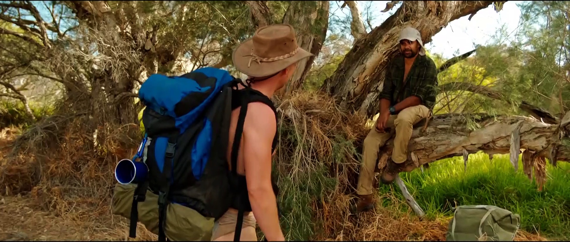The Naked Wanderer movie