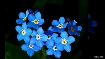 강남안마24시OlO→3OO5→92O8초이스안마모델라인업강남안마선릉안마역삼안마대치동안마방배동안마서초동안마교대안마강남역안마펄안마다오아남베스트안마벤틀리안마명문안마바나나안마에이스안마스타안마금붕어안마오렌지안마초콜릿안마애니팡안마364