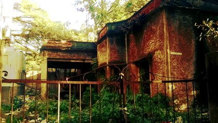 क्यों इस घर में आज में हर रात बजता है पियानो