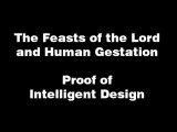 Human Gestation and Its Correlation With the Feasts of YHWH (the Lord)