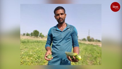 Meet the young Telangana techie who has found success in organic farming