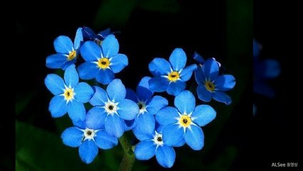 강남풀사롱O1O≡65O5≡O5O7쭉쭉빵빵NF초이스강남풀사롱역삼동풀사롱역삼룸싸롱강남야구장선릉풀사롱강남두바이강남화수분강남빅맨강남룸싸롱대박초이스강남풀싸롱미러초이스강남접대바이어접대외국인접대중국인접대장소압구정풀싸롱선릉역룸사롱대치동풀싸롱풀사롱364364