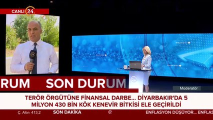 Diyarbakır'da 5 milyon 430 bin kök kenevir bitkisi ele geçirildi