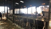Quimper. Un hangar agricole détruit par le feu
