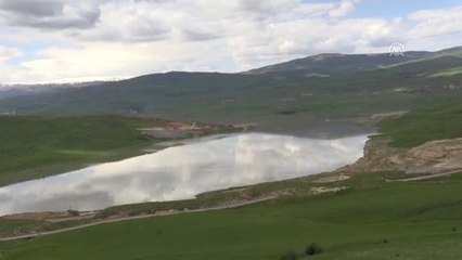 Muş Ovası "Alparslan-2 Barajı" ile bereketlenecek