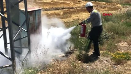 KARAMAN Yüksek gerilim hattına konan saksağan kuşu, yangına neden oldu