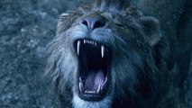 Der König der Löwen - TV Spot Kingdom (Deutsch) HD