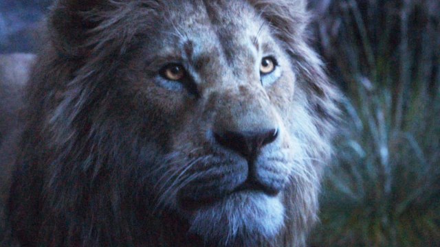 Der König der Löwen - TV Spot True King (Deutsch) HD