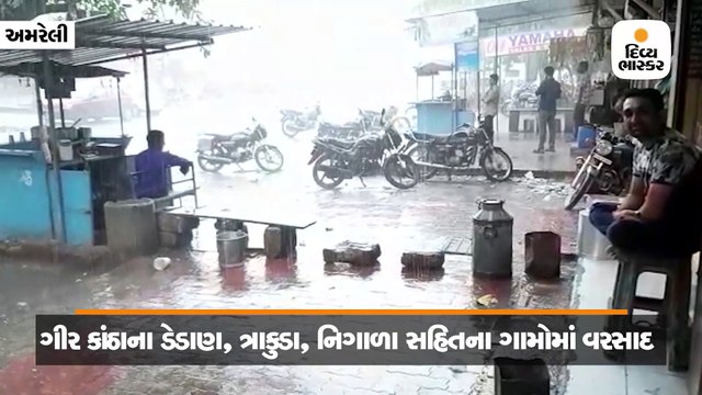 ધારી ગીર અને અમરેલી પંથકમાં ગાજવીજ સાથે ધોધમાર વરસાદ, નદીઓમાં પૂર આવ્યા