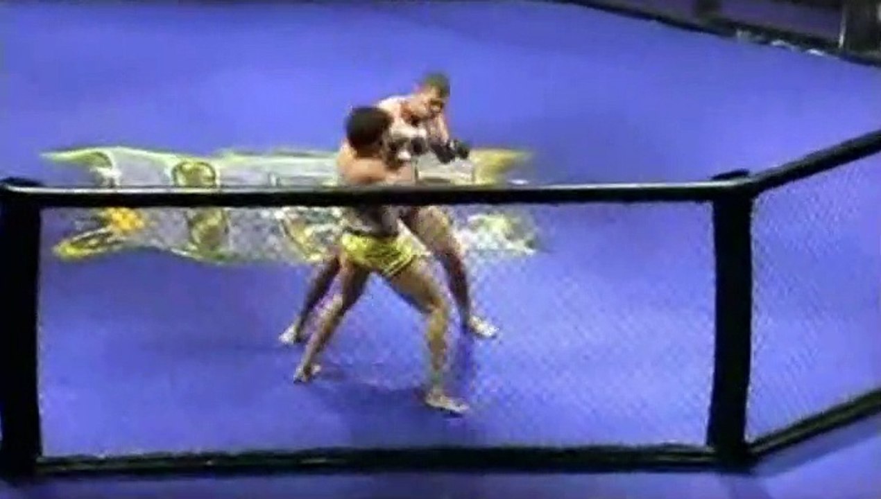 Mauricio Rua vs  Erik Wanderley