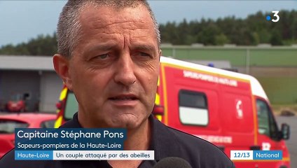 Haute-Loire : un randonneur piqué par un millier d'abeilles