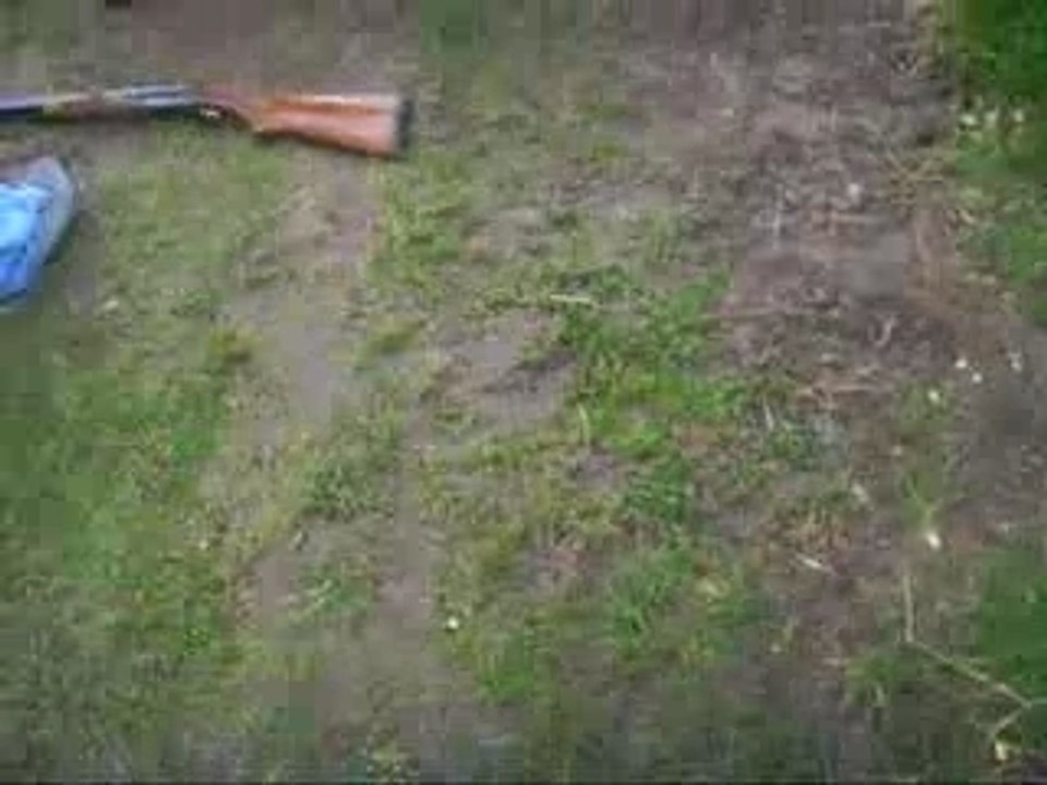 Wesley tire au fusil de chasse