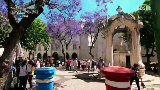 세계테마기행 - '창사특집' 시청자와 함께하는 2부- 꽃보다 아름다워, 포르투갈_#001