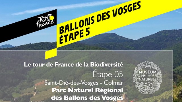 Étape 5 : Parc naturel régional des Ballons des Vosges