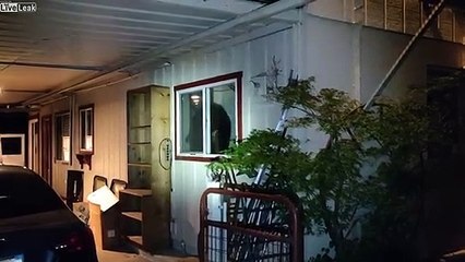 Un ours est entré dans sa maison ! Impossible de rentrer !