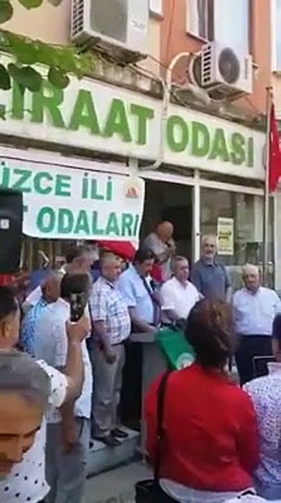 fındık açıklama