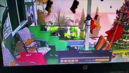 Doggo Takes a Tumble