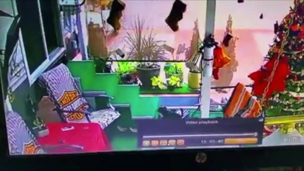 Doggo Takes a Tumble