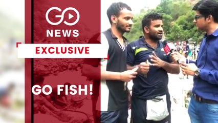 Frantic Fishing Festival Hits Bio-Diversity