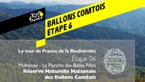 Étape 6 : Réserve naturelle nationale des Ballons Comtois
