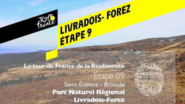 Étape 9 : Parc naturel régional Livradois-Forez