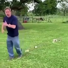 Regardez cet homme qui fait une bonne balade avec ses chatons !