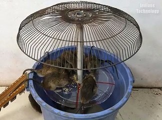 Armadilha para pegar ratos