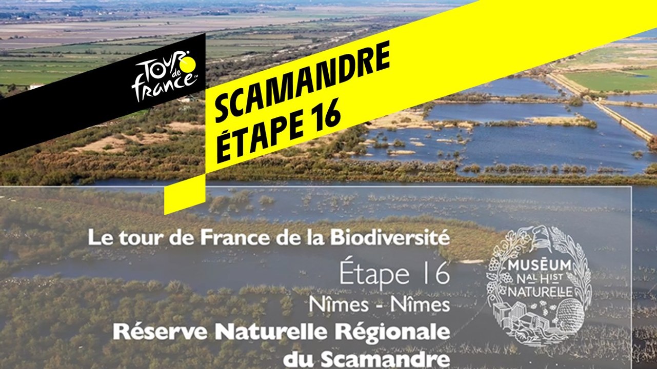 Étape 16 : Réserve naturelle régionale du Scamandre