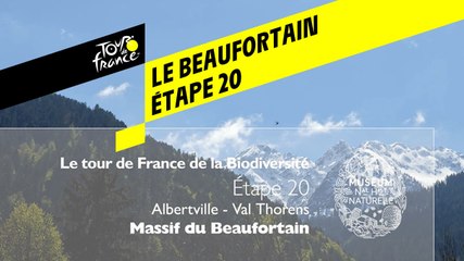Étape 20  : Le Beaufortain