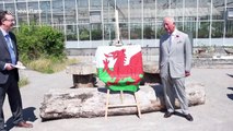 Prince Charles visits the National Botanical Gardens in Wales