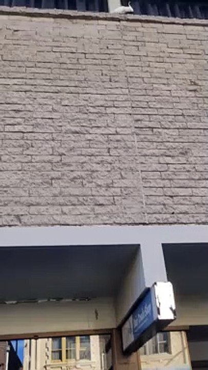 Anti-Nesting Spikes, Not Working