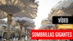 [CH] Las sombrillas gigantes que tapan el Sol en Arabia Saudí