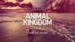 Animal Kingdom - Promo 4x07