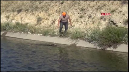 Denizli - Bu kez avlamadı, kurtardı
