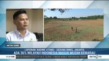 Dampak Musim Kemarau di Indonesia