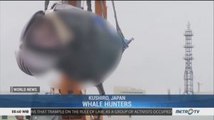 Japan Returns to Commercial Whaling