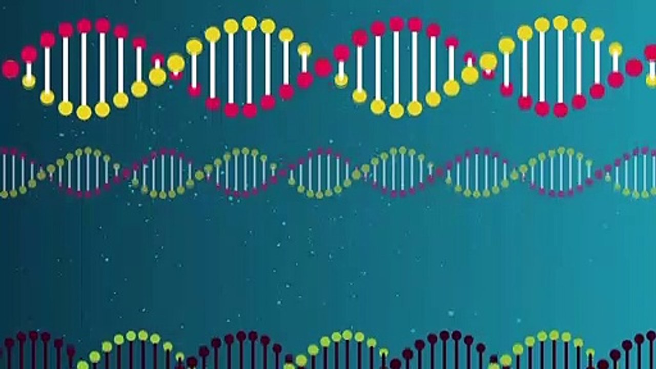 Understanding Autoimmune Disease | DNA | Gene Code - SYROS - Equisolve