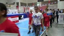 Üst Minik ve Genç Kızlar Türkiye Boks Şampiyonası - AMASYA